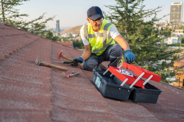 Best Insulated Siding Installation  in Neptune Beach, FL